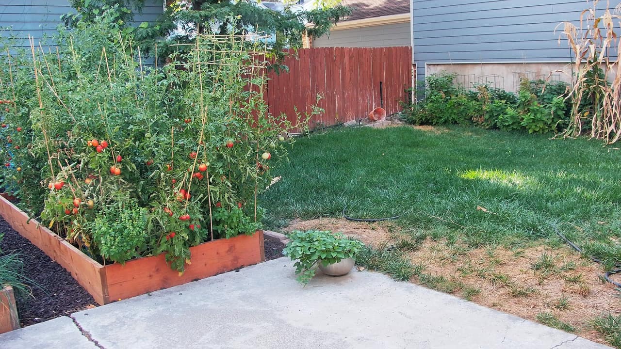 the garden at 6:00 PM on Friday, August 28
